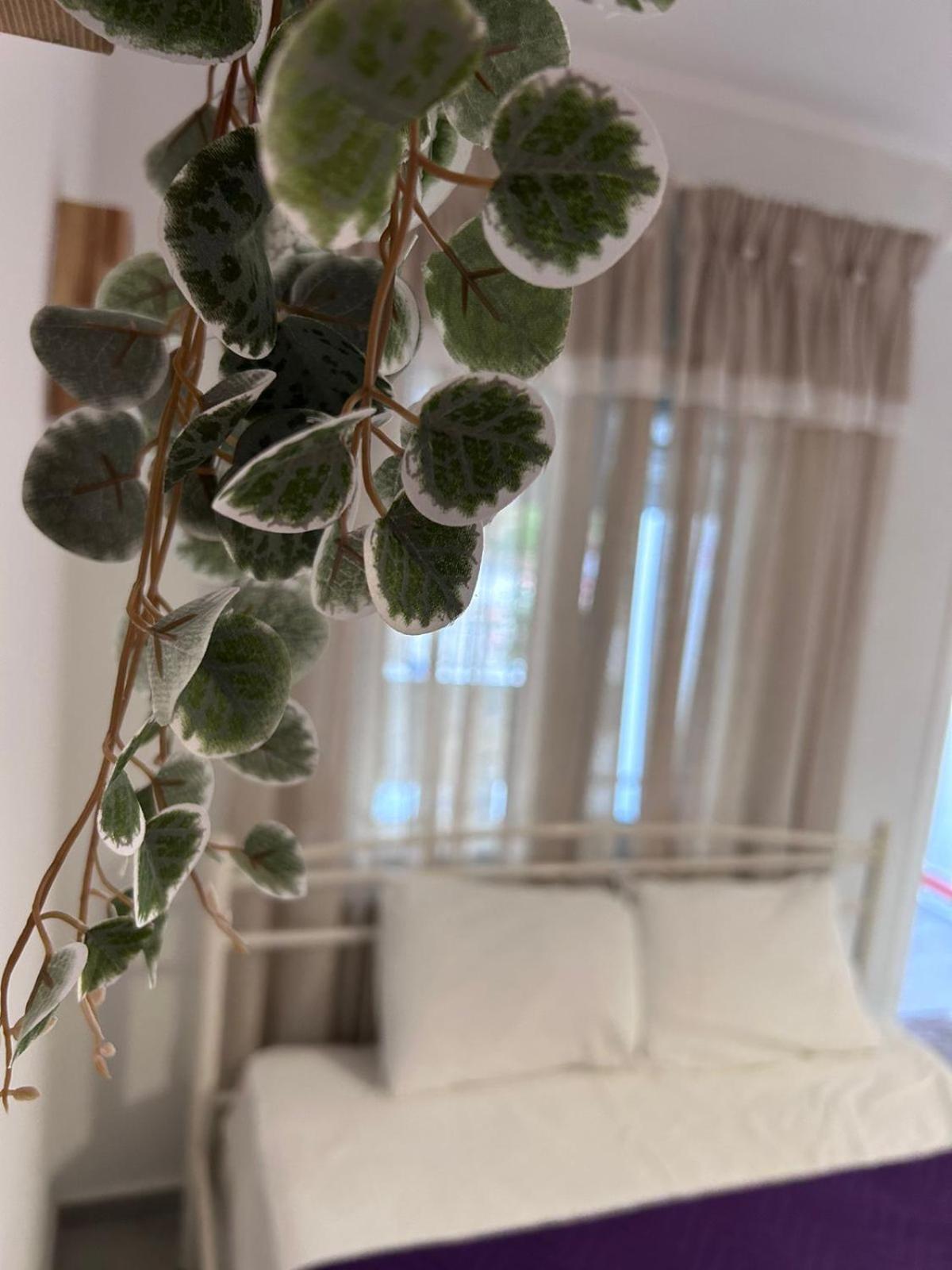 Amaya Pine Rooms Keramoti  Luaran gambar